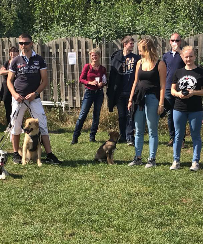 Eine Gruppe von Teilnehmern warten mit ihren Hunden auf den Eignungstest