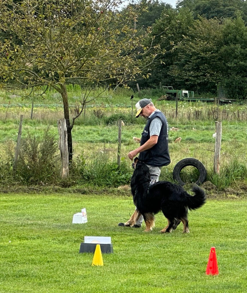 Ein Mann läuft mit seinem Hund durch einen Rally Obedience Kurs