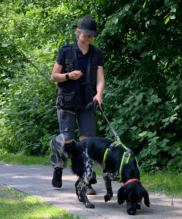 Ein Hund folgt einer Fährte mit einer Hundetrainerin